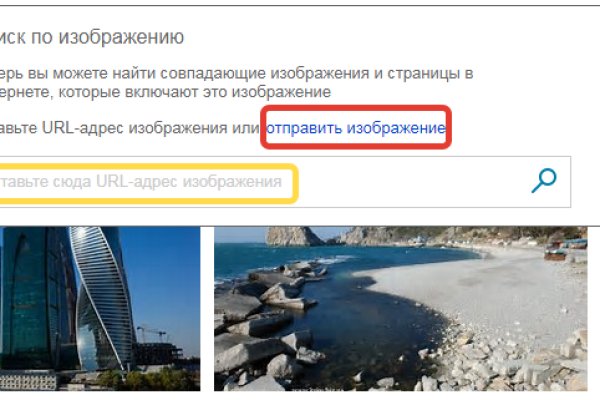 Ссылка на кракена для тора