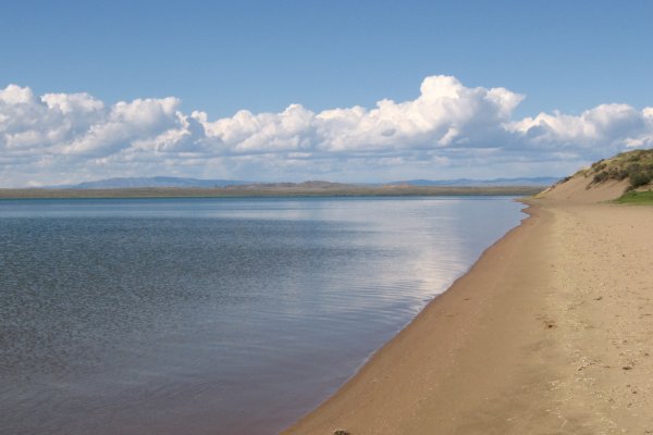 Кракен даркнет плейс