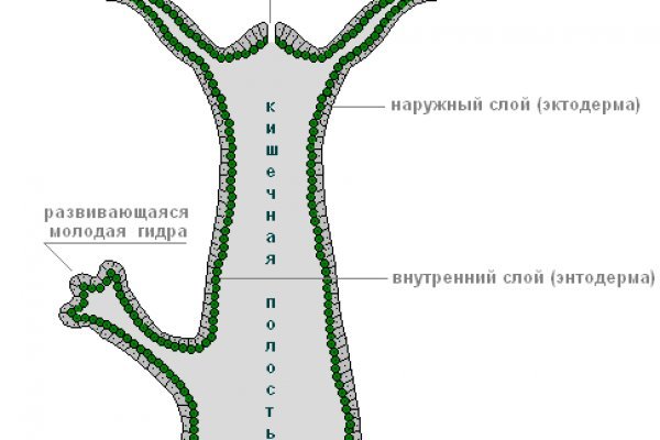 Kraken ссылки актуальные 2025 г