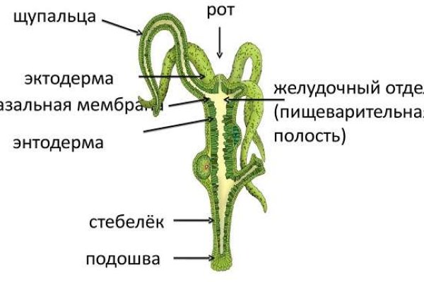 Кракен браузер