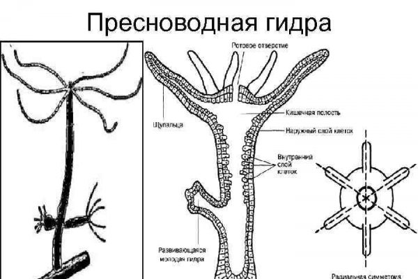 Кракен маркетплейс ссылка krakenat2krnkrnk com