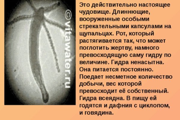Какой нужен тор чтоб зайти в кракен